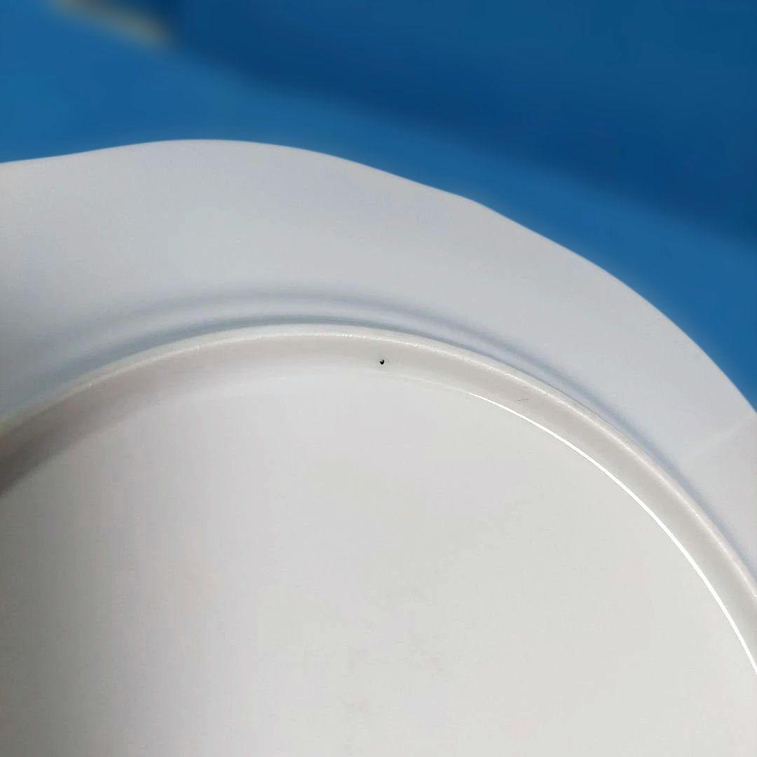 【リチャードジノリ】ミュージオクラシコ　直径26cm 大皿　5枚