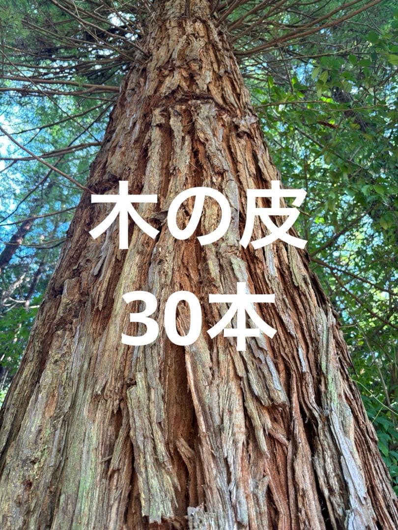 木の皮