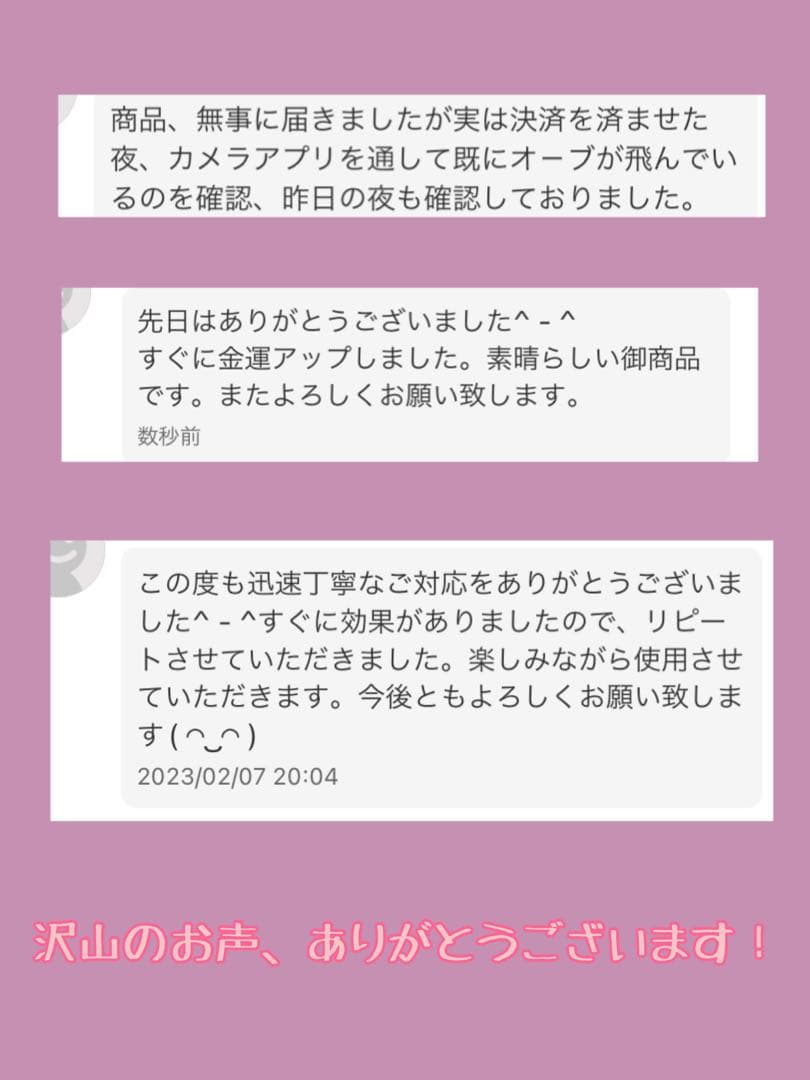 龍神とチョウピラコ宿る！人生が激変！大好転ブレスレット
