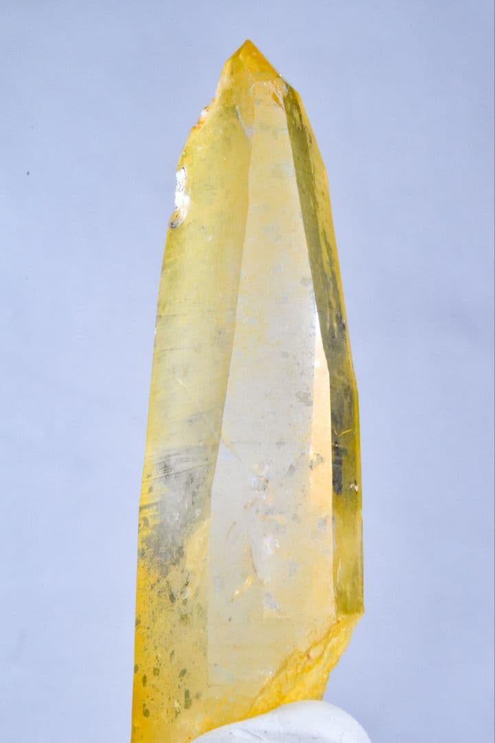 コロンビア産 ゴールデンヒーラーポイント02