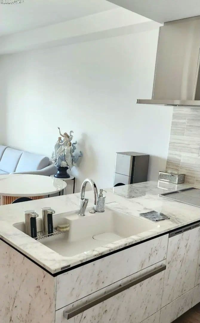 限定 極美品 リヤドロ 春の祭典 女性 世界限定 1000点 置物 LLADRO