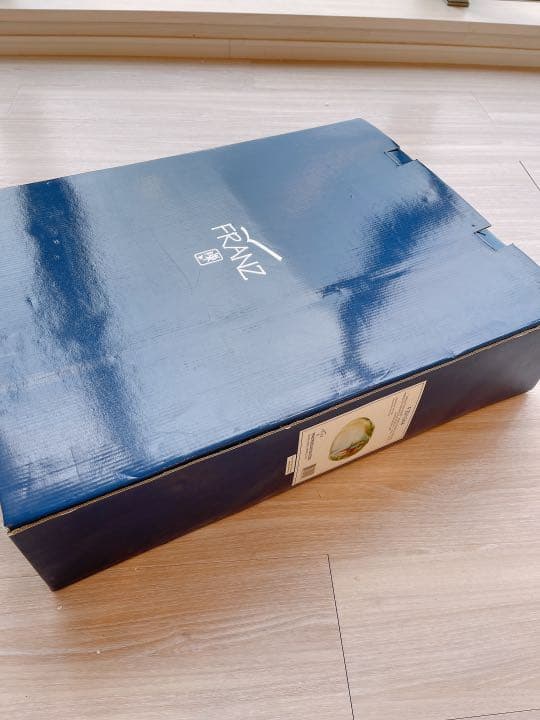 フランツコレクション　FRANZ オウムの大皿　国内未発売