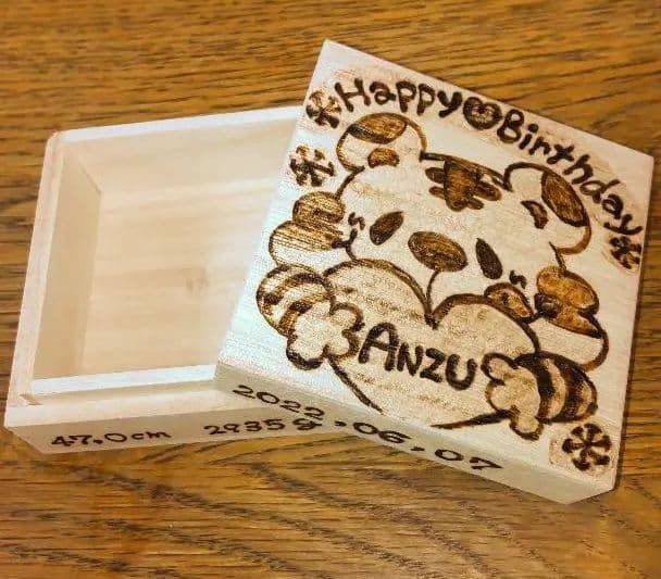 ☆確認用☆へその緒ケース