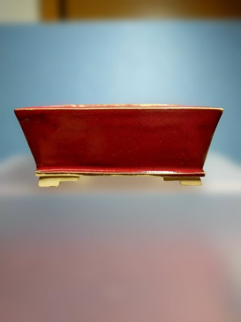 赤い漆器 水指 四角形盆栽鉢