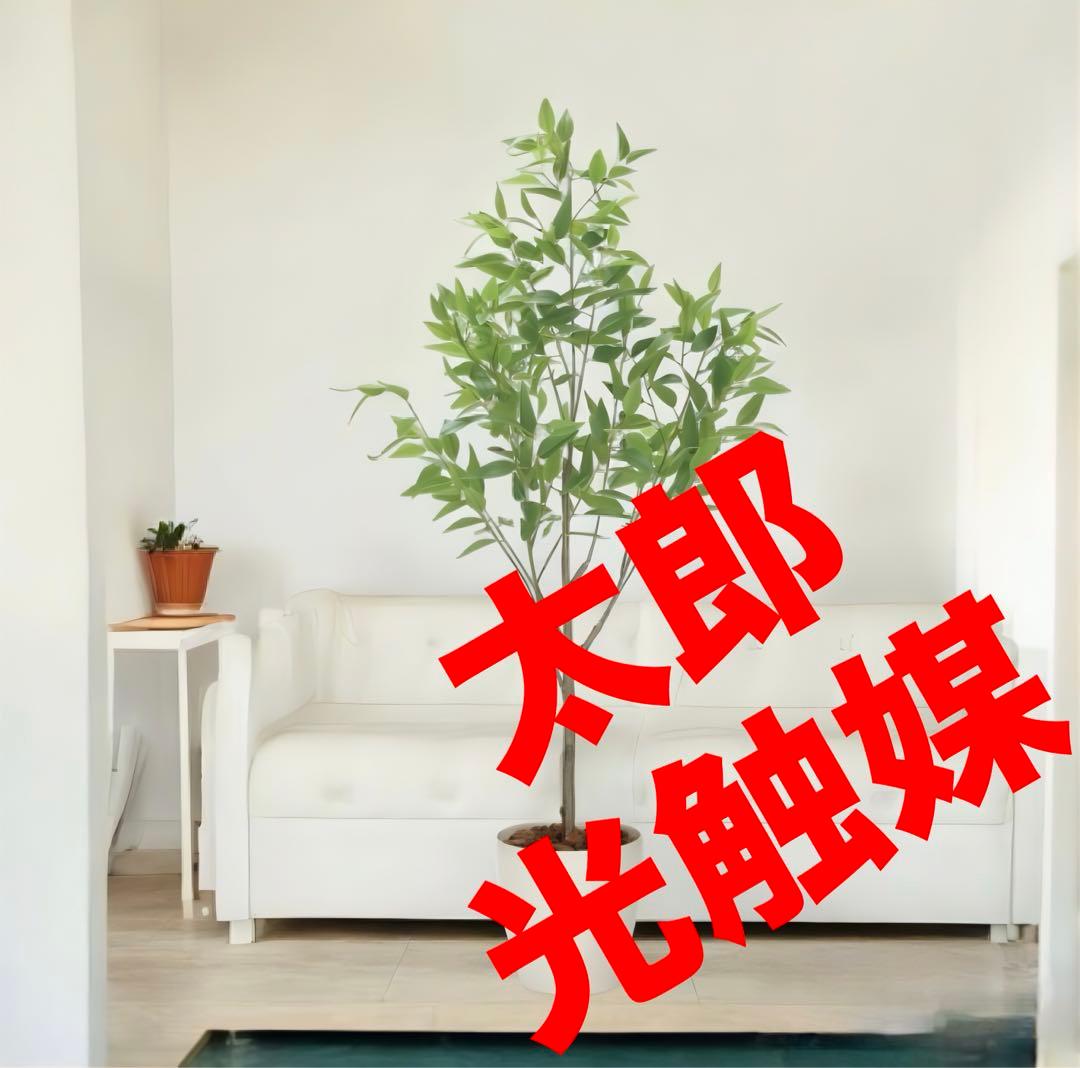 光触媒　人工観葉植物　フェイクグリーン　フレッシュ細葉ユーカリ1.7m