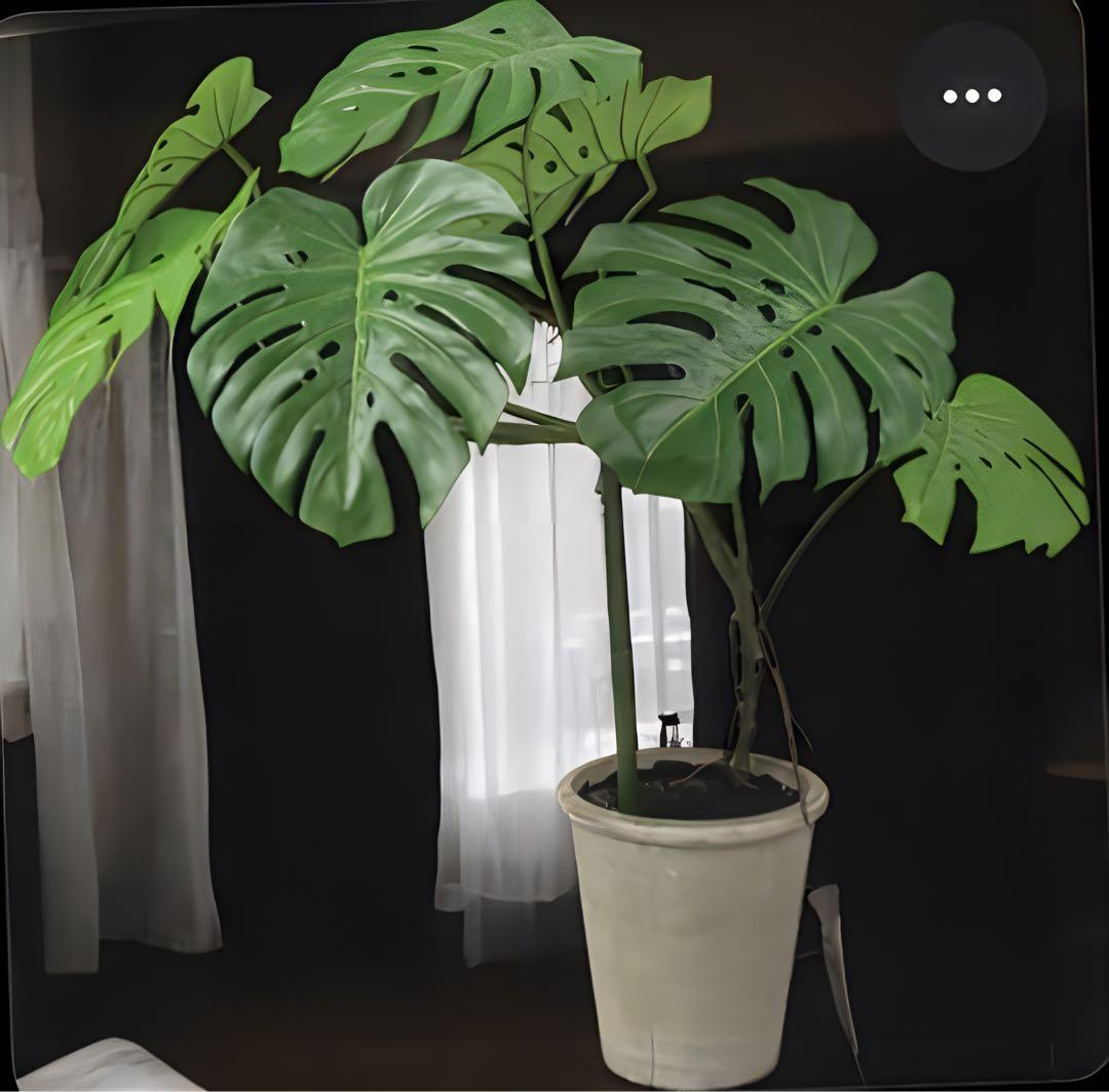 光触媒　人工観葉植物　ウォールグリーン　フェイクグリーン　モンステラ110