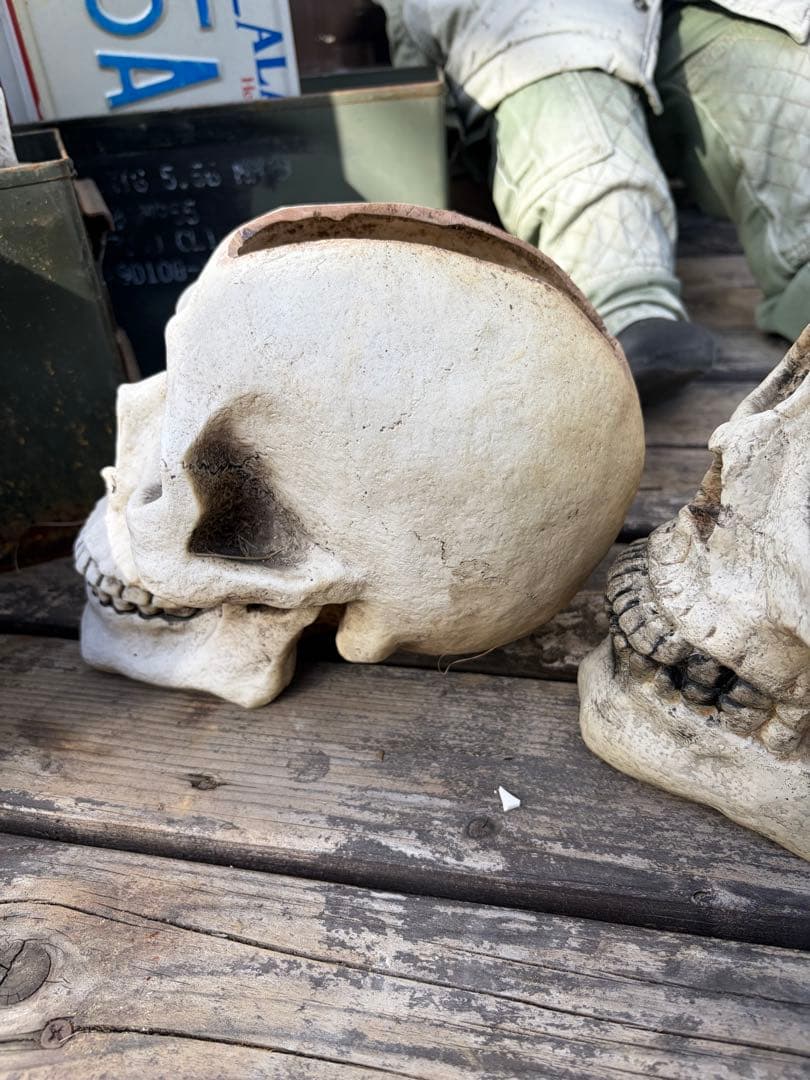 スカル鉢モヒカン等身大サイズ◇ドライガーデン　アメリカン　ガレージ　アガベ 多肉