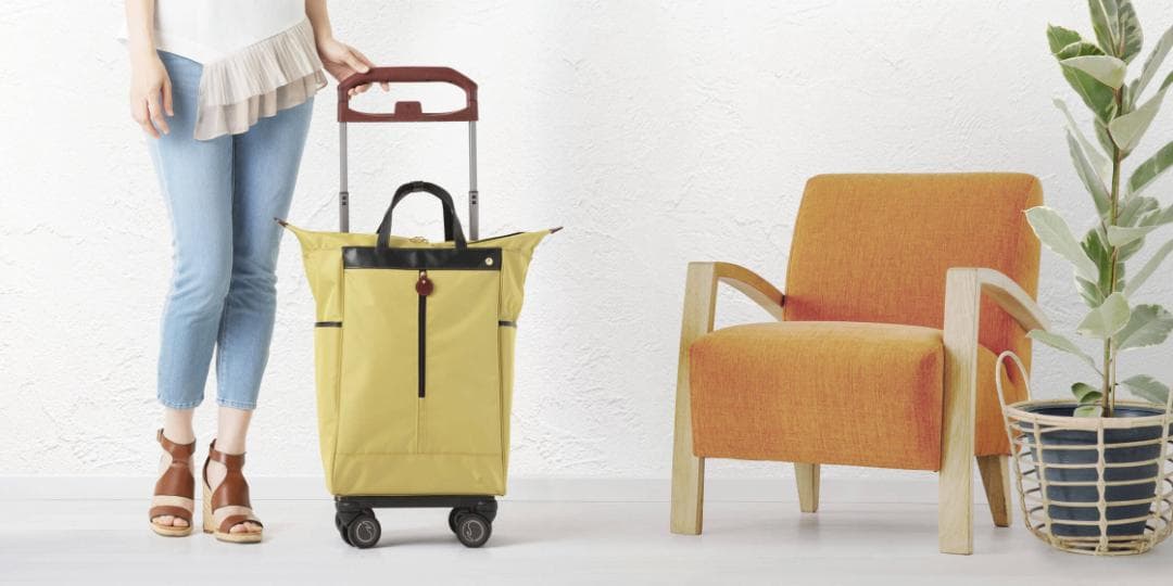 ACE soelte ソエルテ アルディート 20リットル