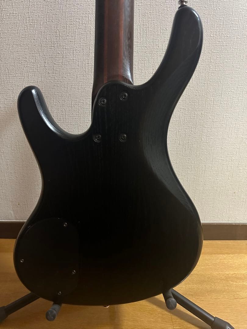 Ibanez アイバニーズ　EDB555 Ergodyne 5弦ベース