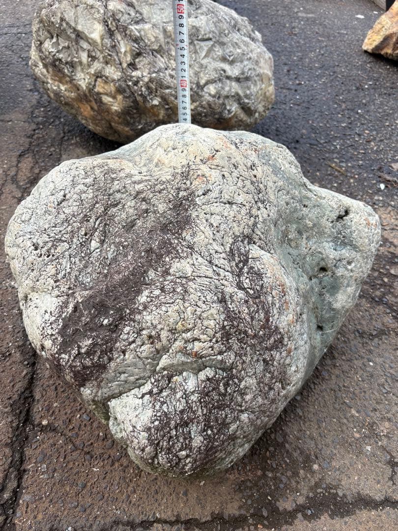小滝川採取 天然石 庭石 約50cm級 真贋不明