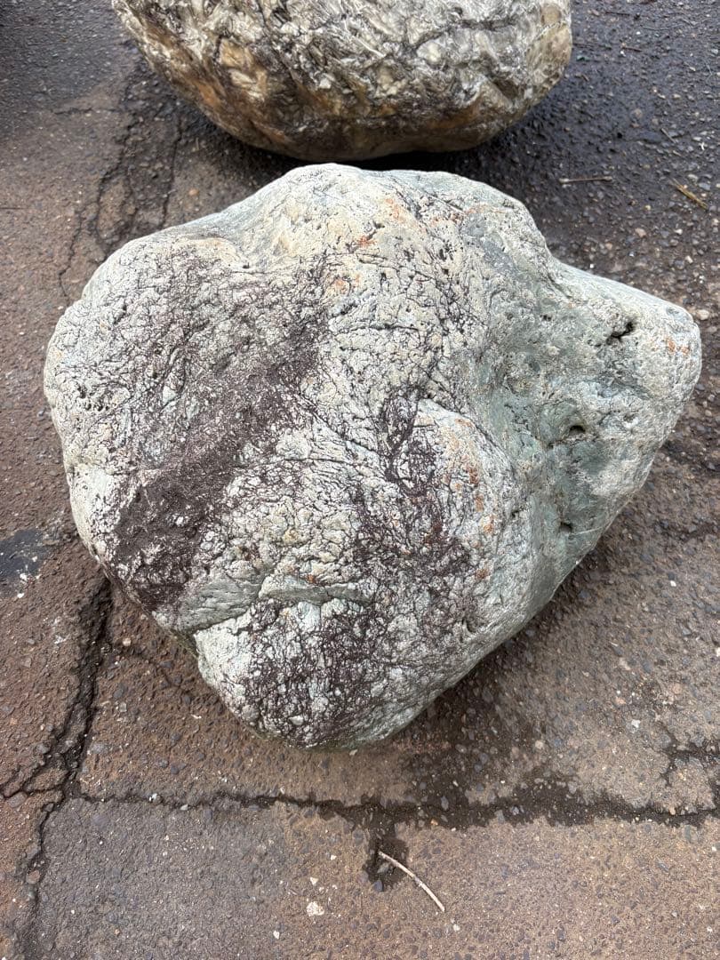 小滝川採取 天然石 庭石 約50cm級 真贋不明