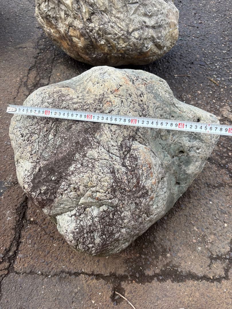 小滝川採取 天然石 庭石 約50cm級 真贋不明