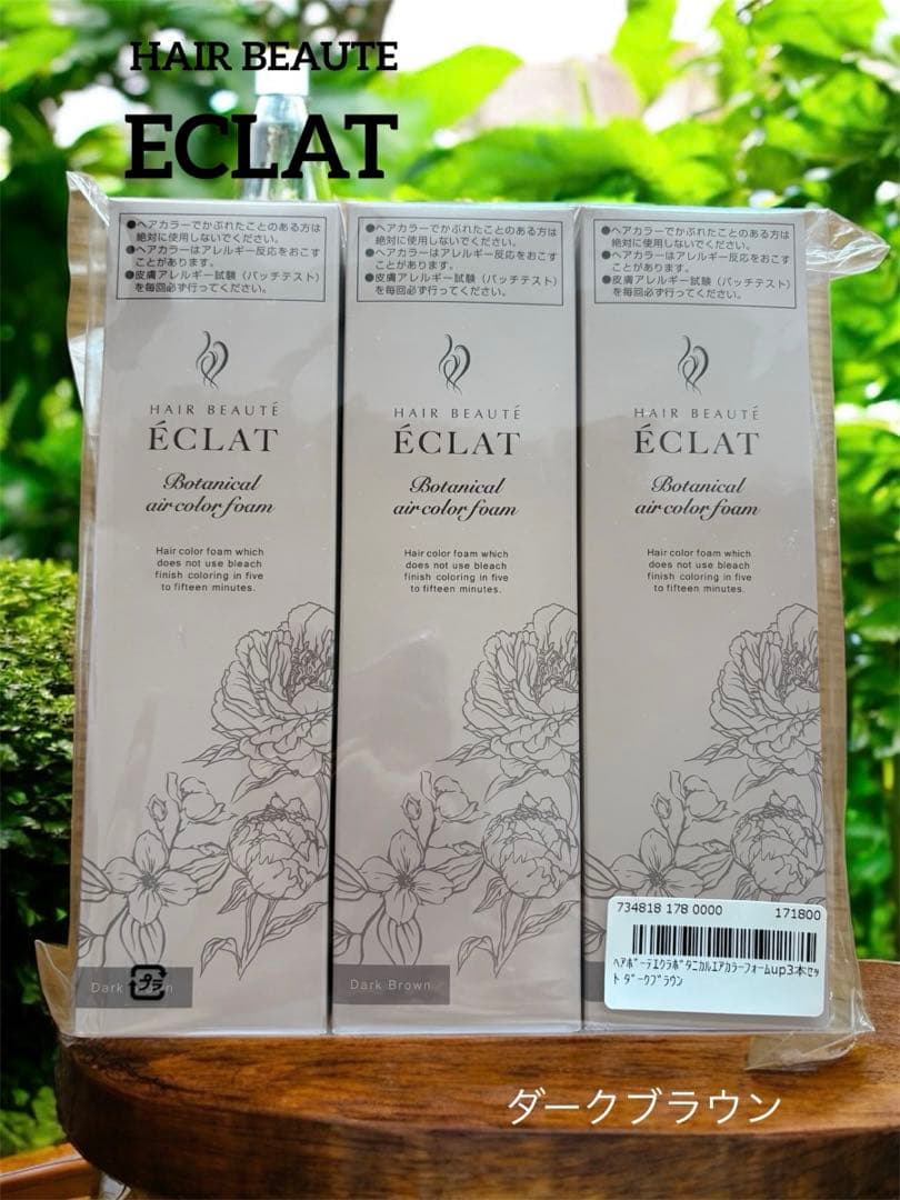 ヘアボーテ エクラ ボタニカル エアカラーフォーム up ダークブラウン 3本