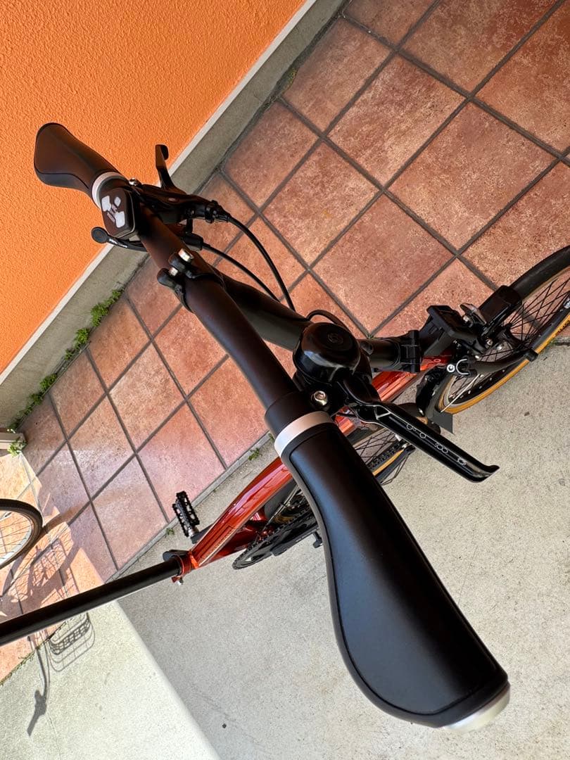 BROMPTON C Line SL2 フレイムラッカー カスタム外装5速