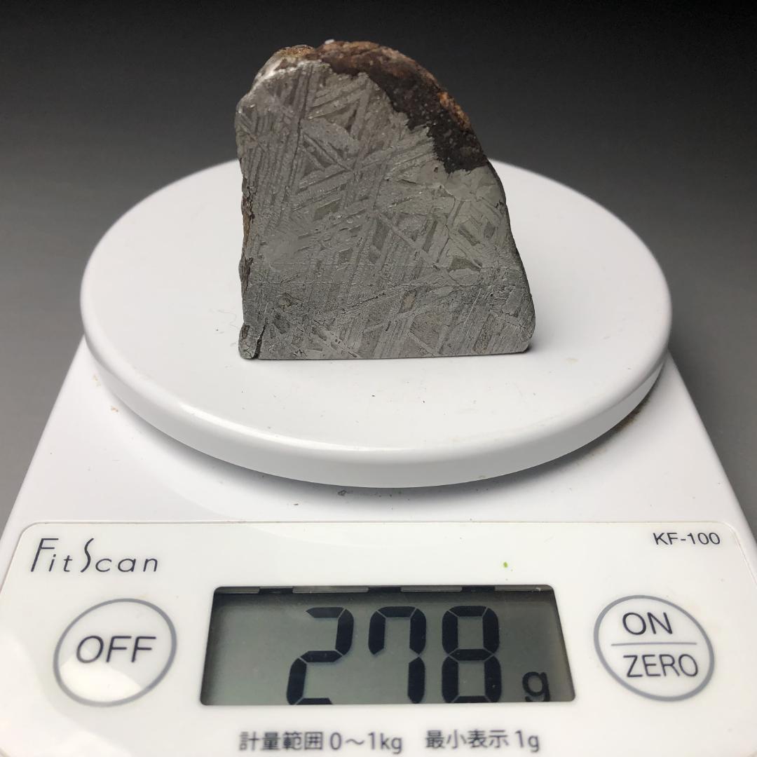 アルタイ隕石　 鉄隕石　エンドカット　高品質　原石 　重さ約278ｇ
