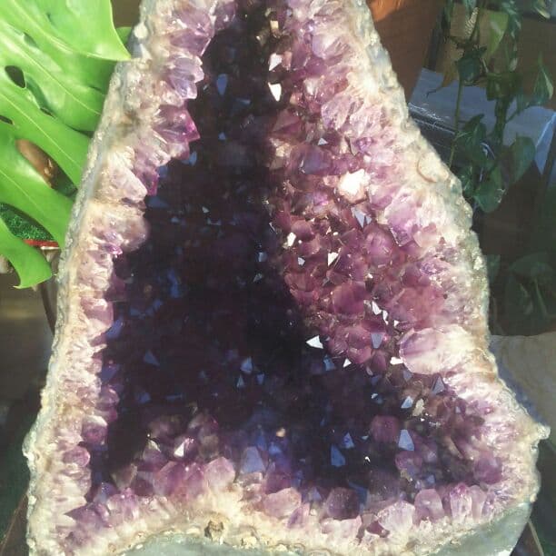 超特大   アメジストドーム