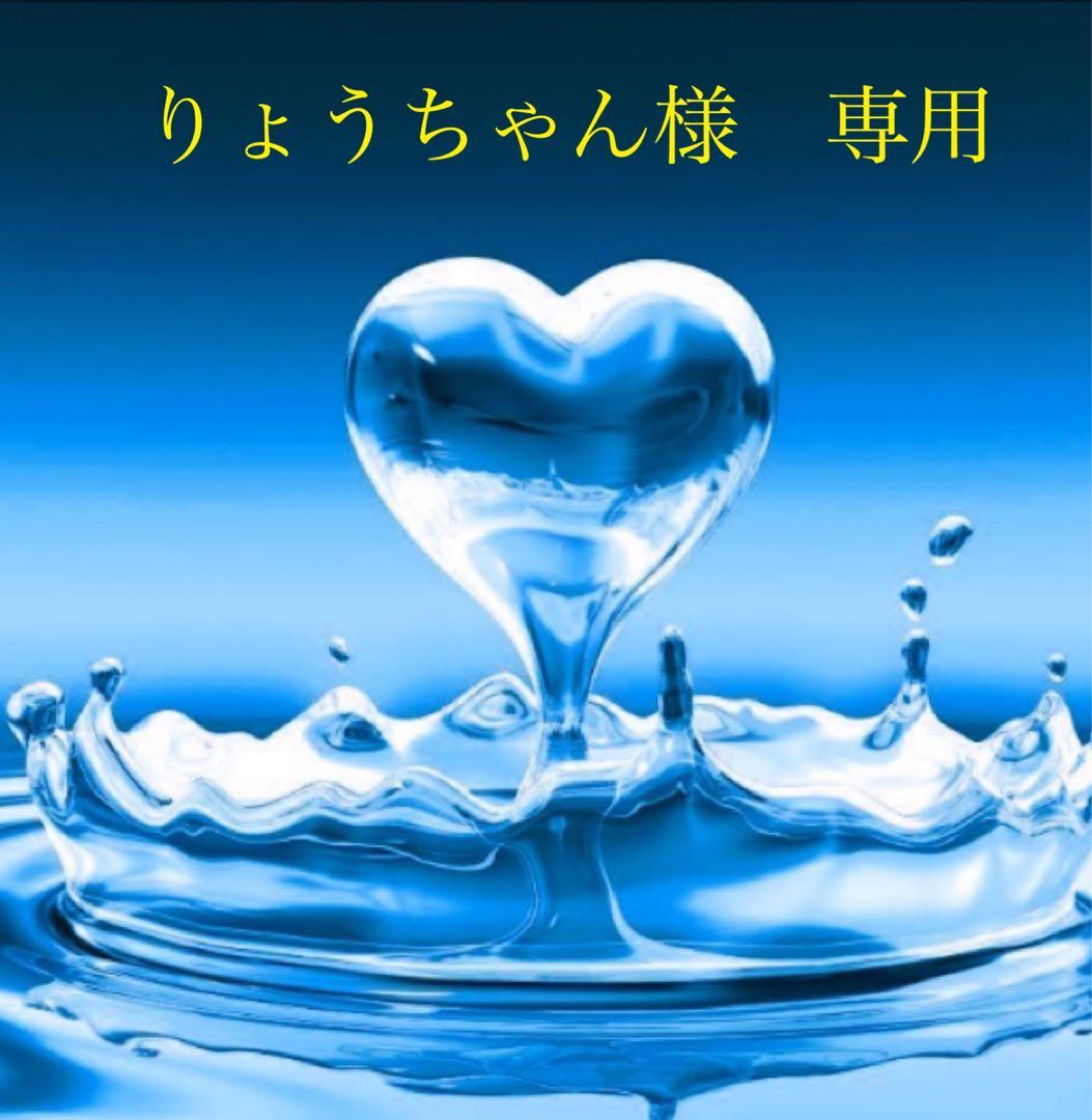 りょうちゃん　　訳あり商品