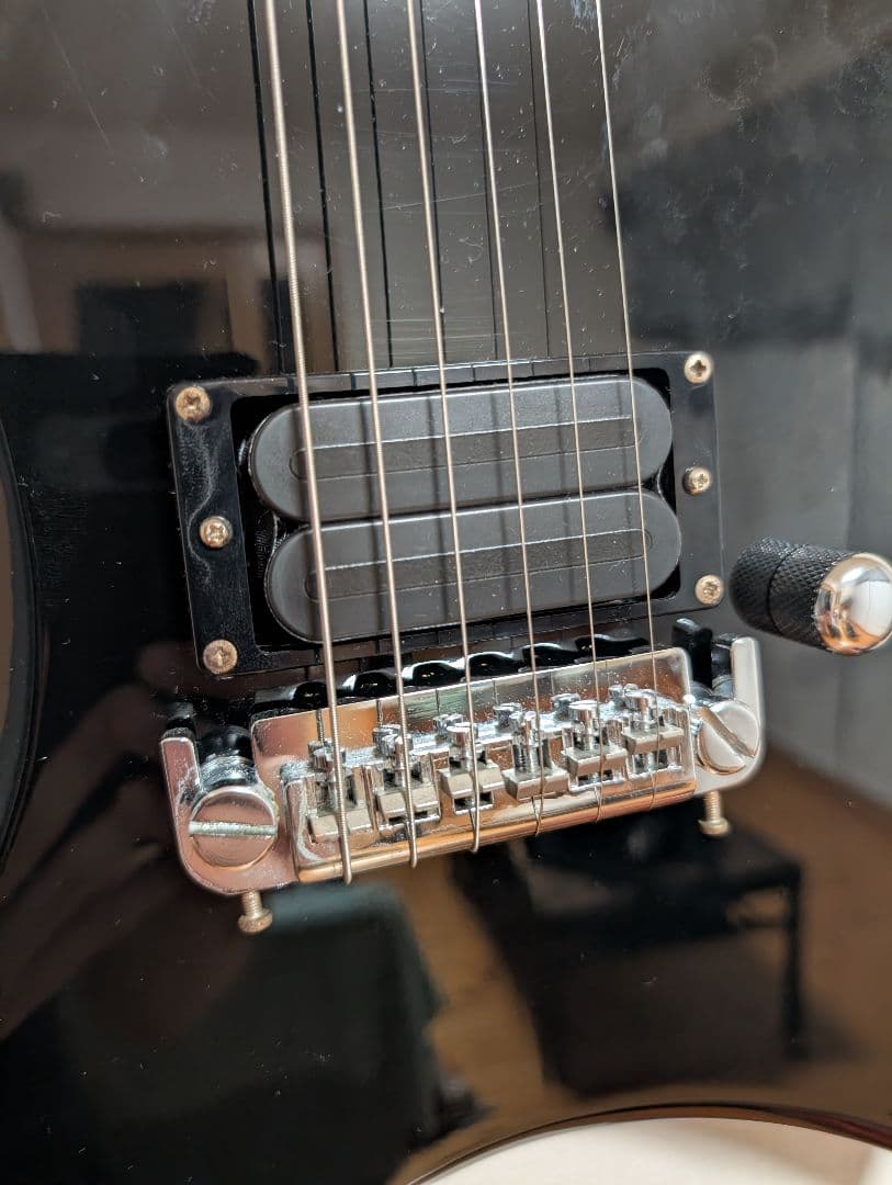 ギター Stealth (chuck schuldiner tribute)