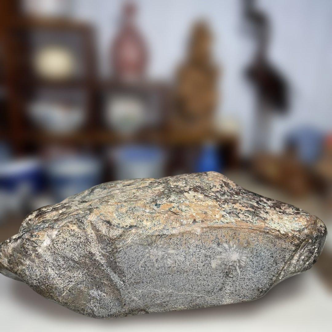 菊花石 8.6kg 鑑賞石 鉱物