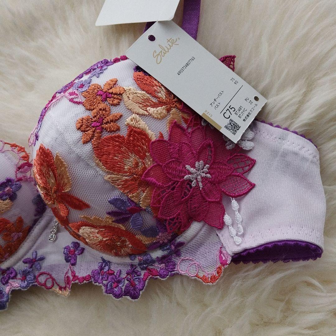 salute サルート 81G 81グループ　セット C75 M　 PU