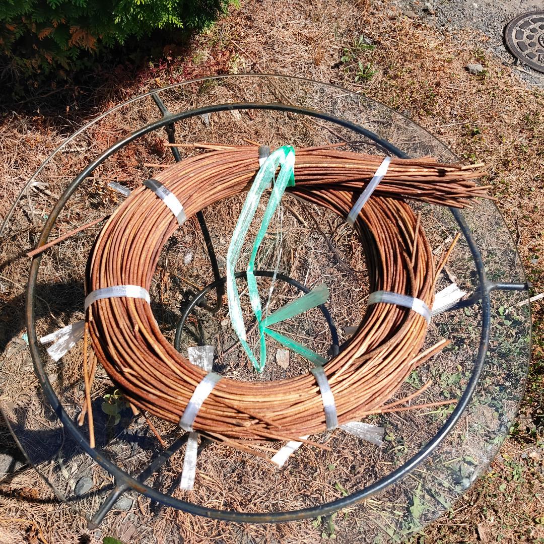 青森県岩木山採取　あけび蔓　150cm～　1kg