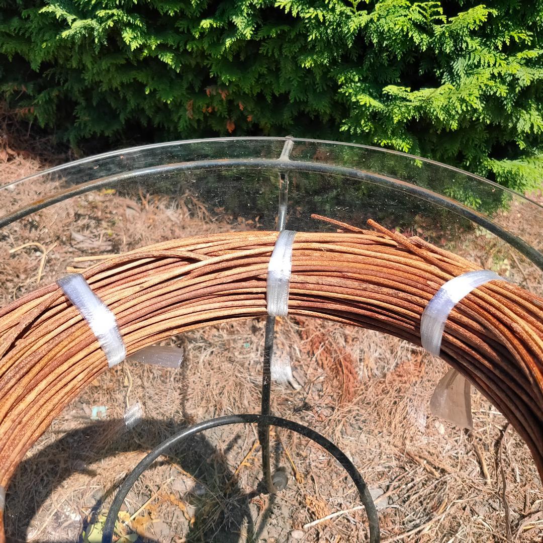 青森県岩木山採取　あけび蔓　150cm～　1kg