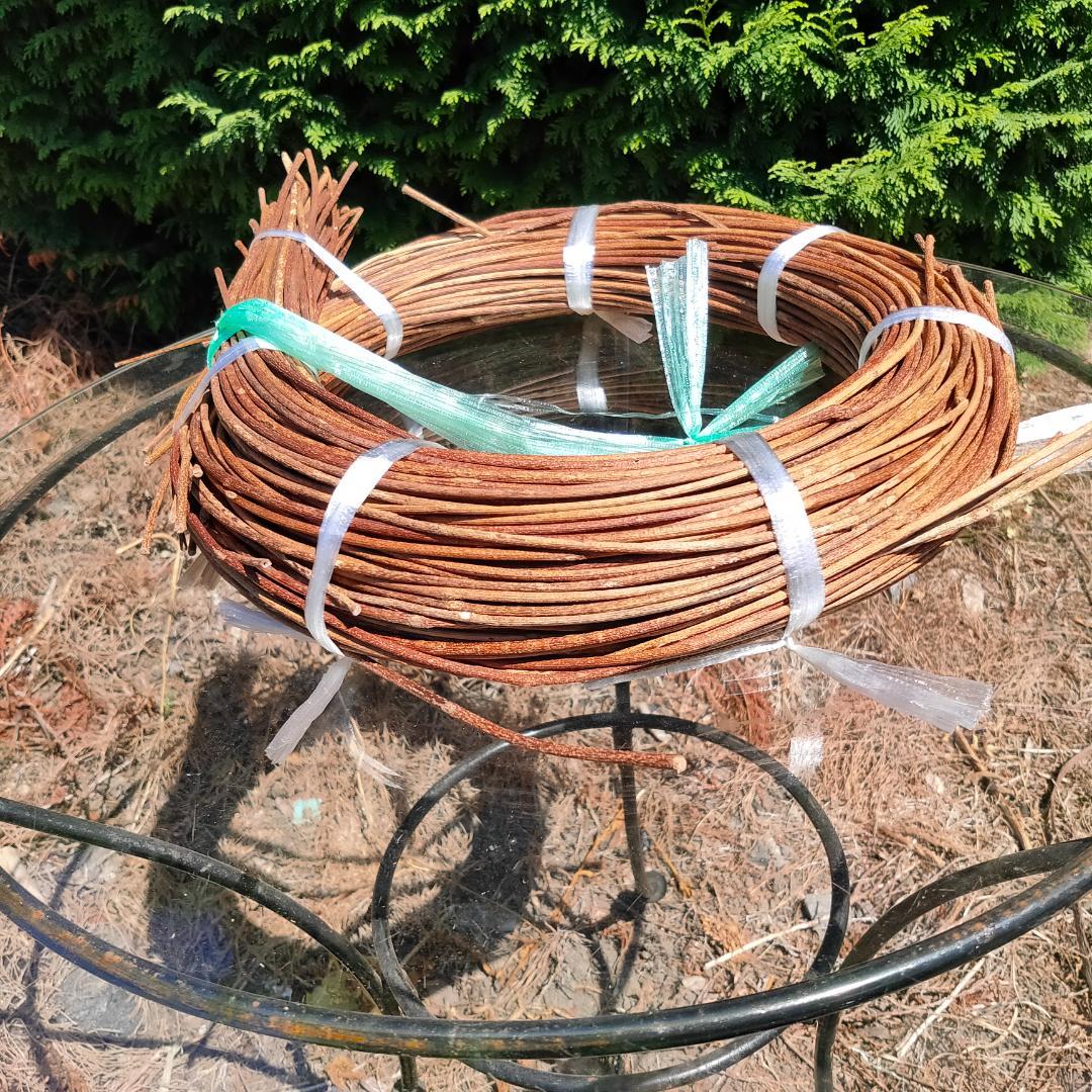 青森県岩木山採取　あけび蔓　150cm～　1kg