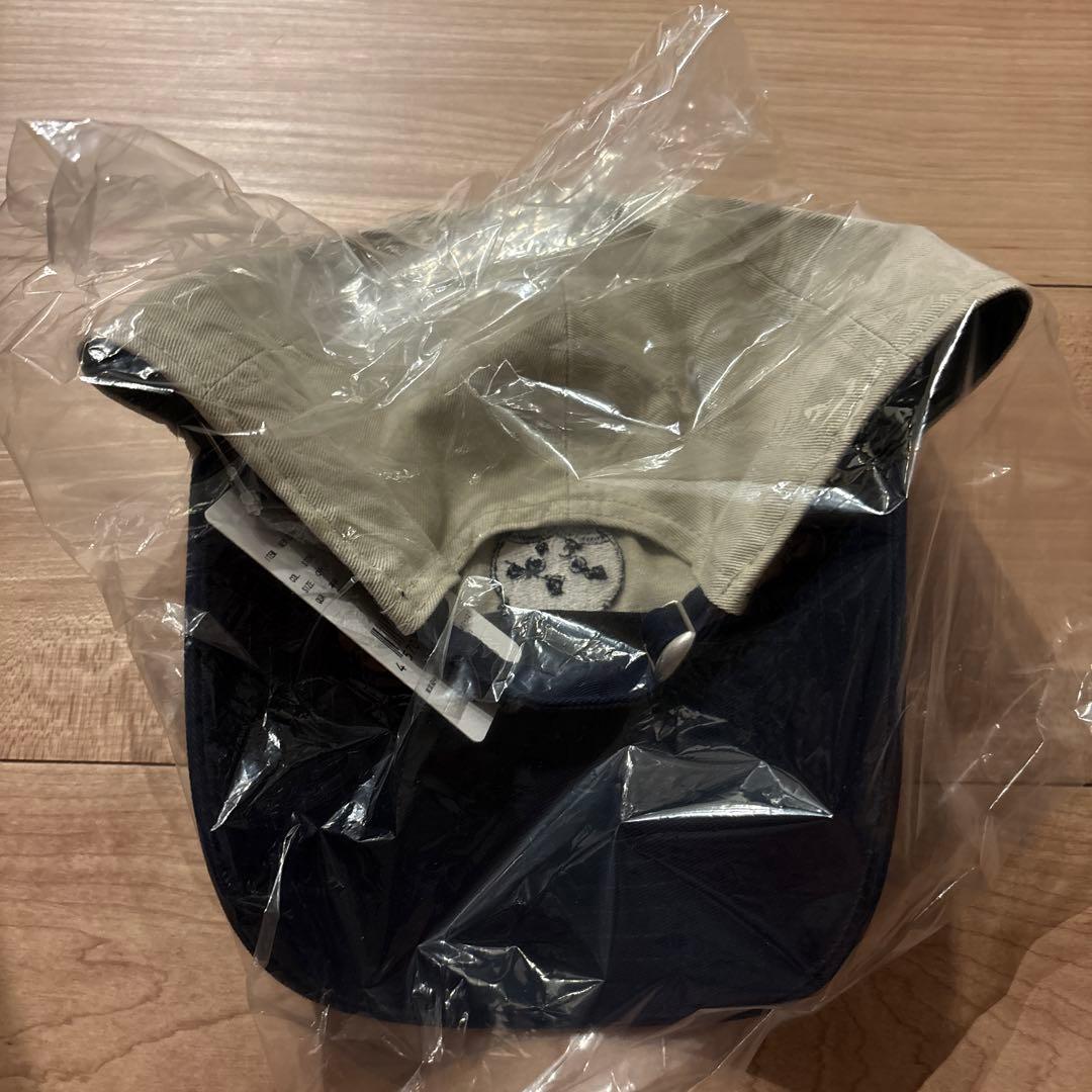 New Era 9TWENTY ハチワレ