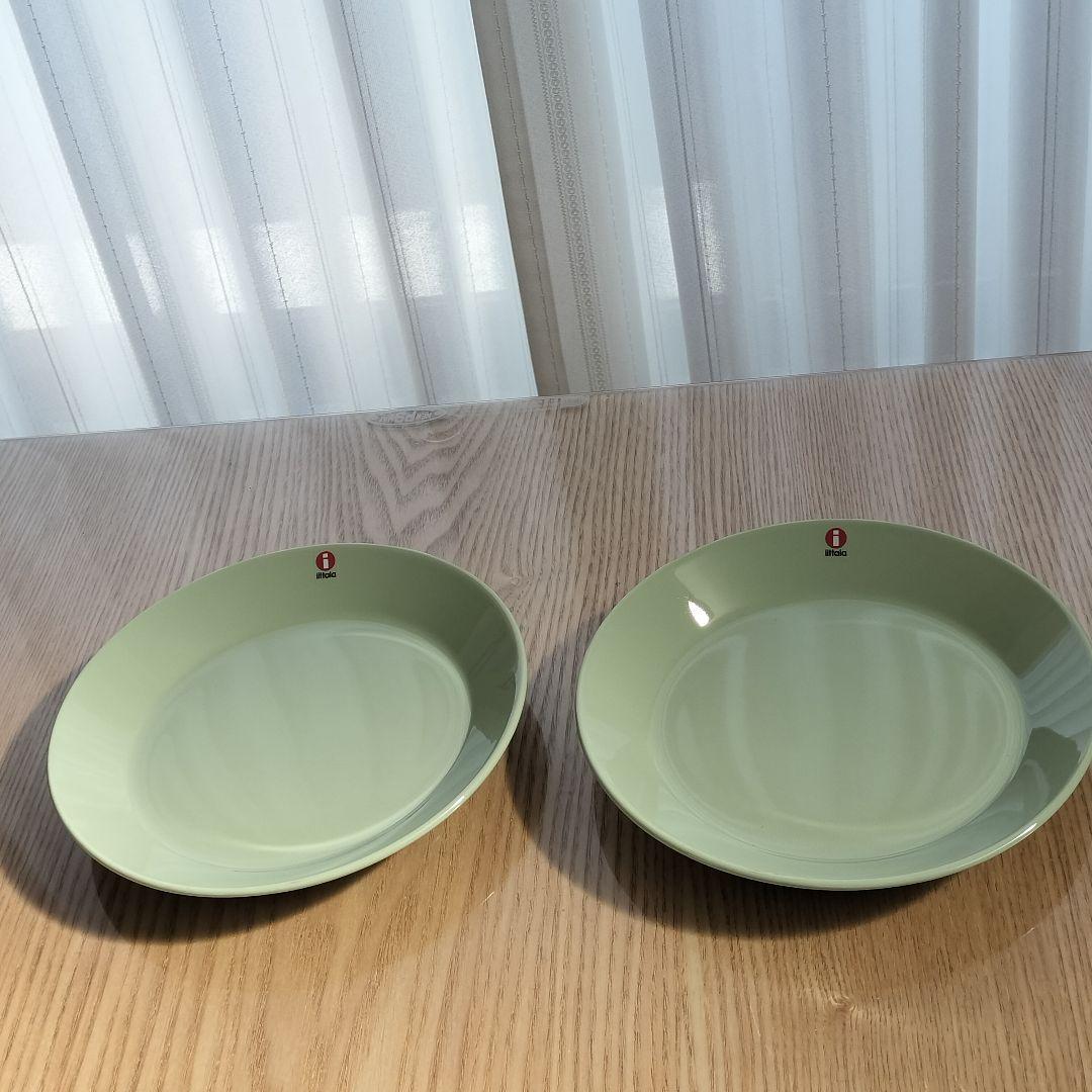 【廃盤色】 TEEMA 17cm プレート 2枚　セラドングリーン