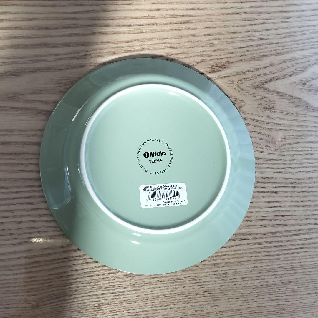 【廃盤色】 TEEMA 17cm プレート 2枚　セラドングリーン