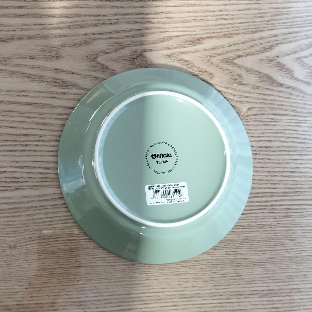 【廃盤色】 TEEMA 17cm プレート 2枚　セラドングリーン