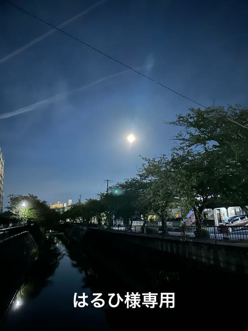 ビンテージ　スカルネックレス　ハーレーダビッドソン