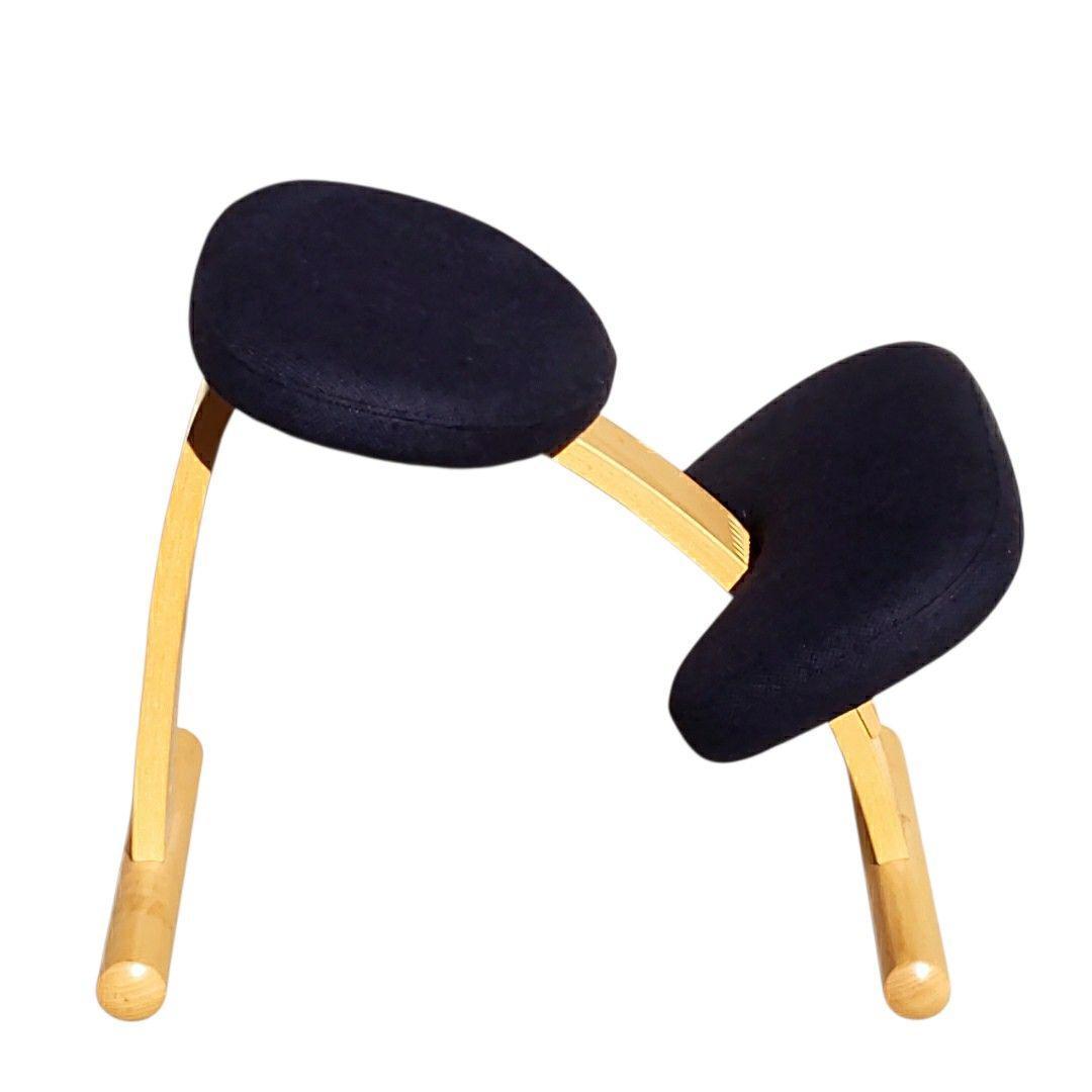 リボ バランスイージー バランスチェア ネイビー ブナ 姿勢矯正 北欧