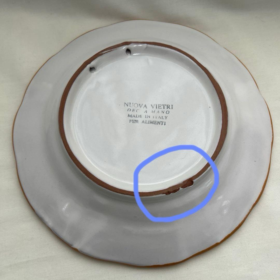 NUOVA VIETRI イタリア製　絵皿　パスタ皿　6枚
