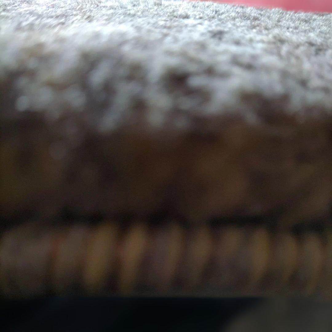 座布団ギャッベ イラン シラーズ 手織り 草木染 手紬 犬柄 動物柄 わんちゃん