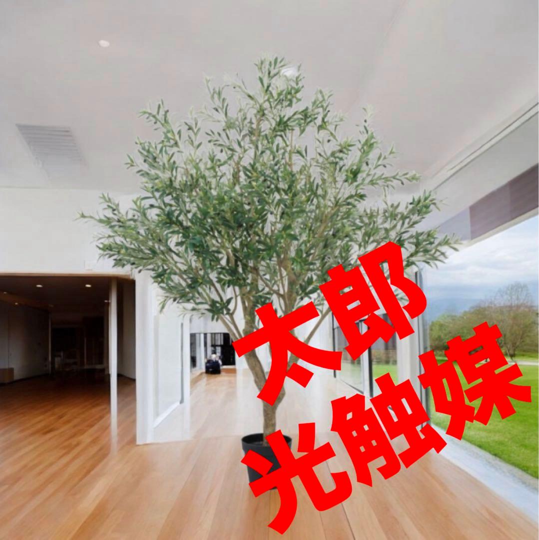 光触媒　人工観葉植物　ウォールグリーン　フェイクグリーン　オリーブ250センチ