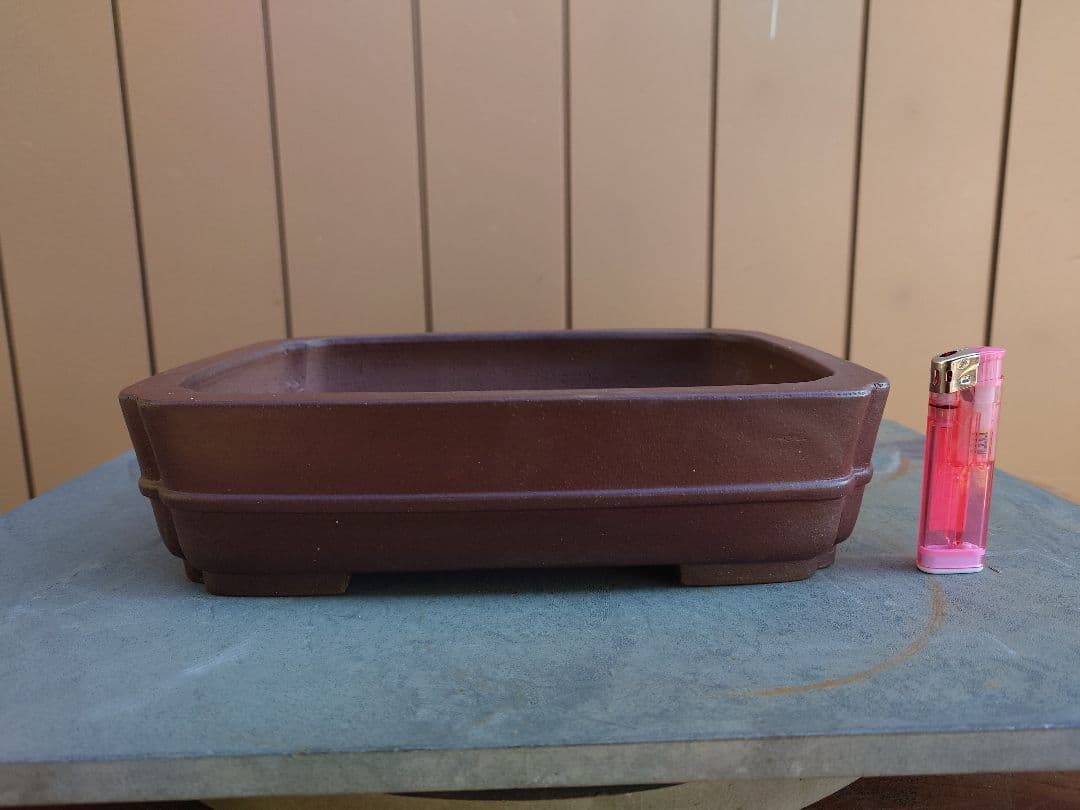 盆栽　鉢　柴勝　幅27.5cm