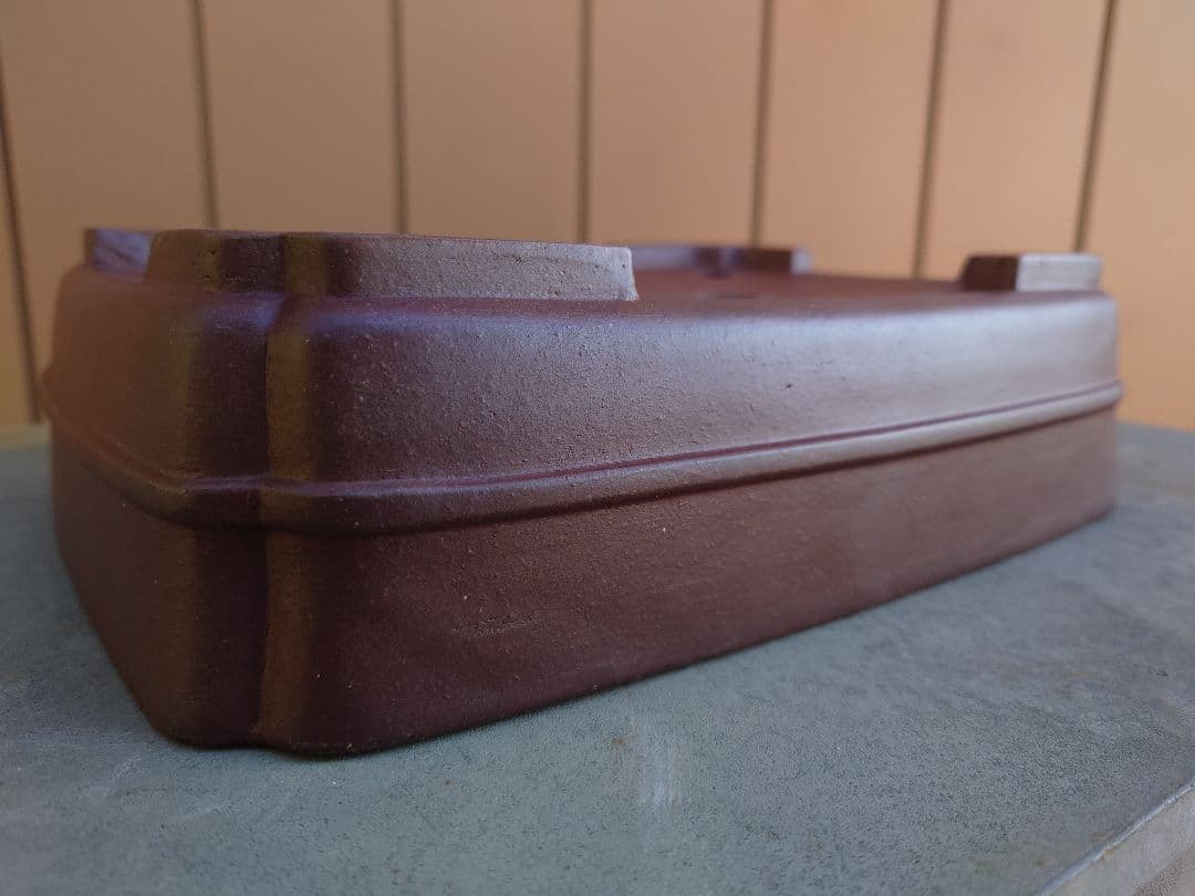 盆栽　鉢　柴勝　幅27.5cm