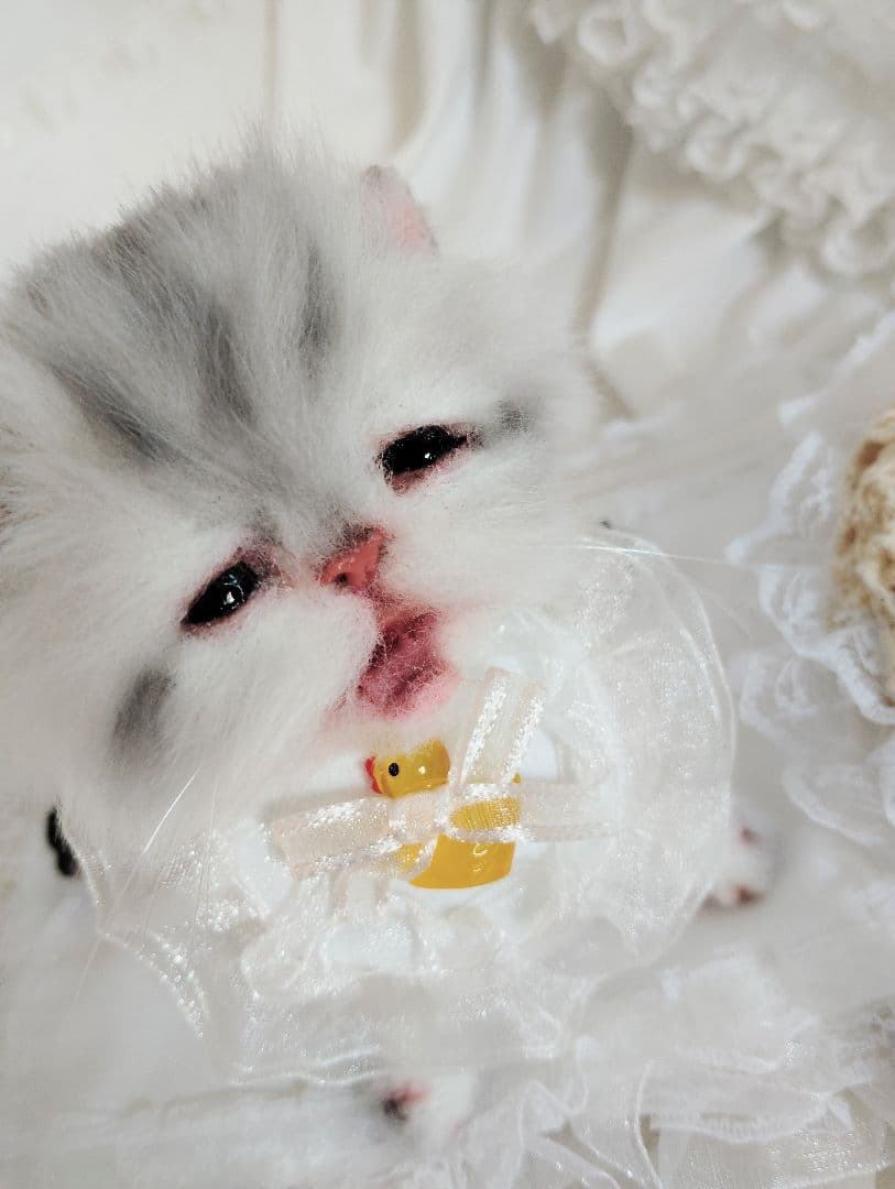 生後２週間♡お世話セット♡チンチラ子猫ちゃん♡アートドール♡ぬいぐるみ♡