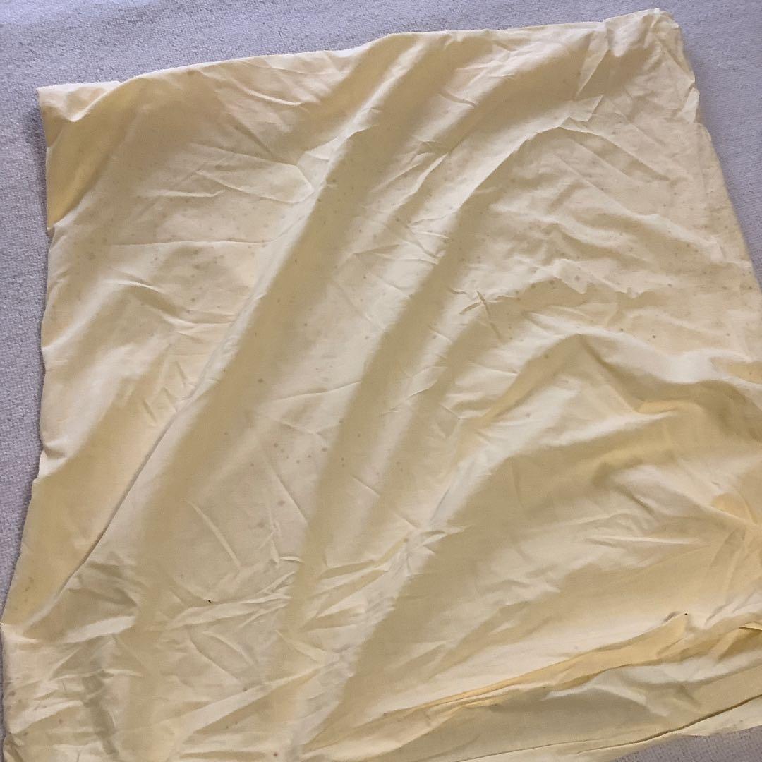 日本画　菩薩　岩崎甚一郎　金色縁額装