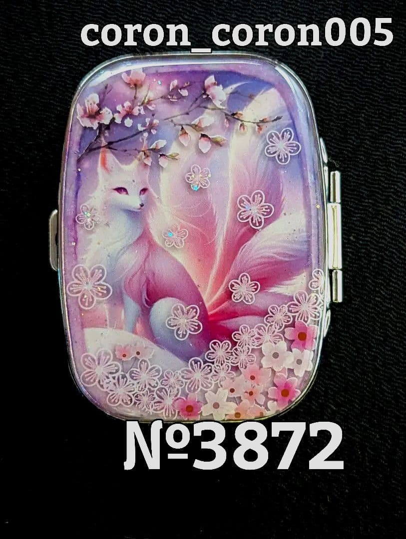 ✿のあーる様②·専用✿ハンドメイド　ピルケース