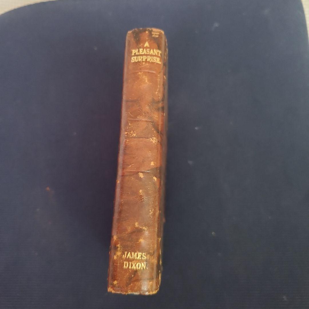 アンティーク　本型　フラスコ　スキットル　イギリス製