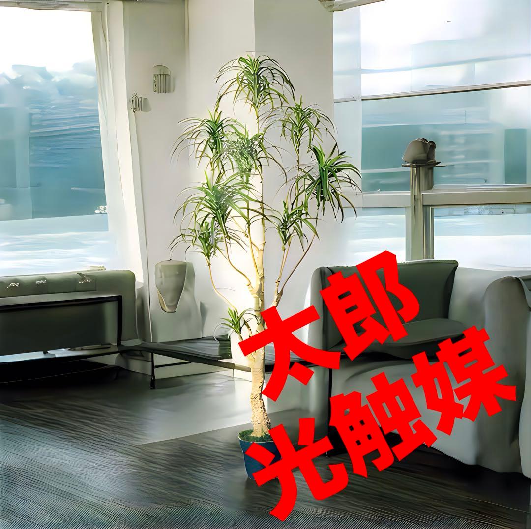 光触媒　人工観葉植物　ウォールグリーン　フェイクグリーン　ユッカツリー1700