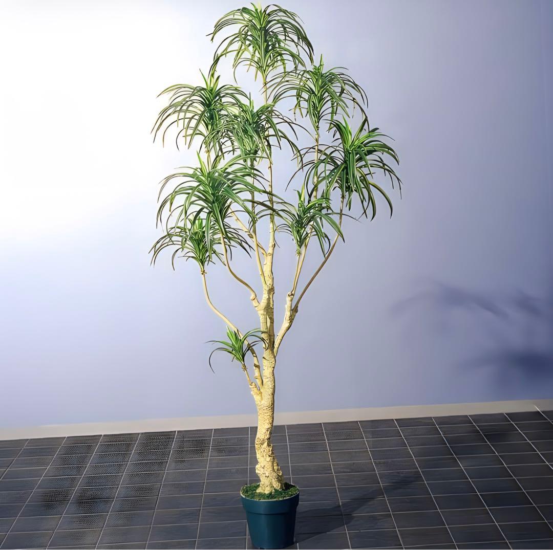 光触媒　人工観葉植物　ウォールグリーン　フェイクグリーン　ユッカツリー1700
