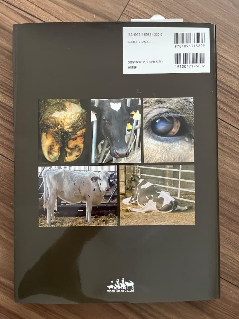 ピクチャーガイド 実症例から学ぶ牛の疾病　オールカラー