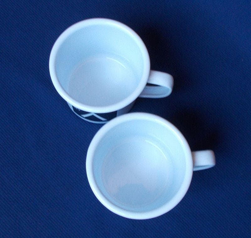 2個 アークテリクス ARC'TERYX エナメルマグカップ プロモ