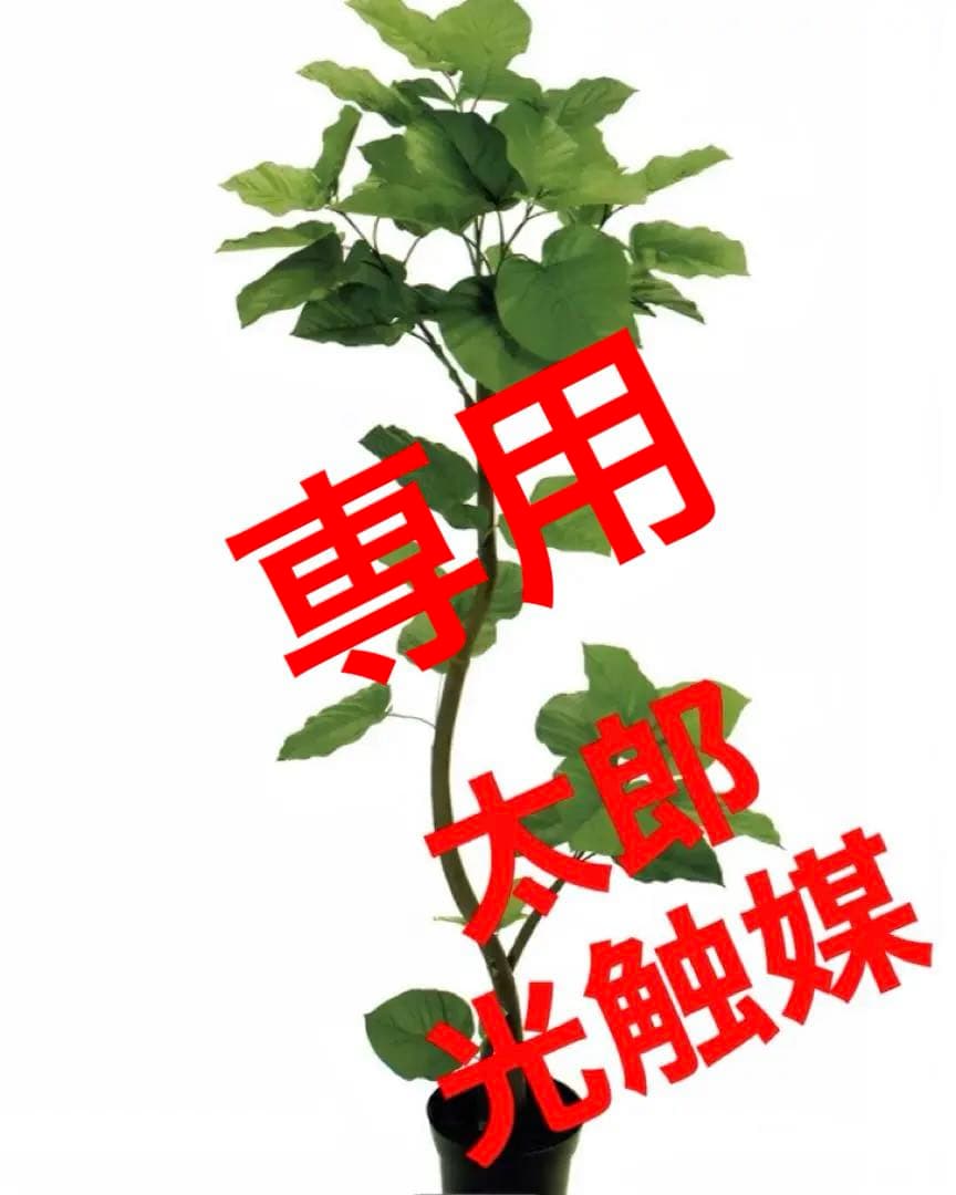 光触媒　人工観葉植物　ウォールグリーン　フェイクグリーン　ウンベラータスパイラル