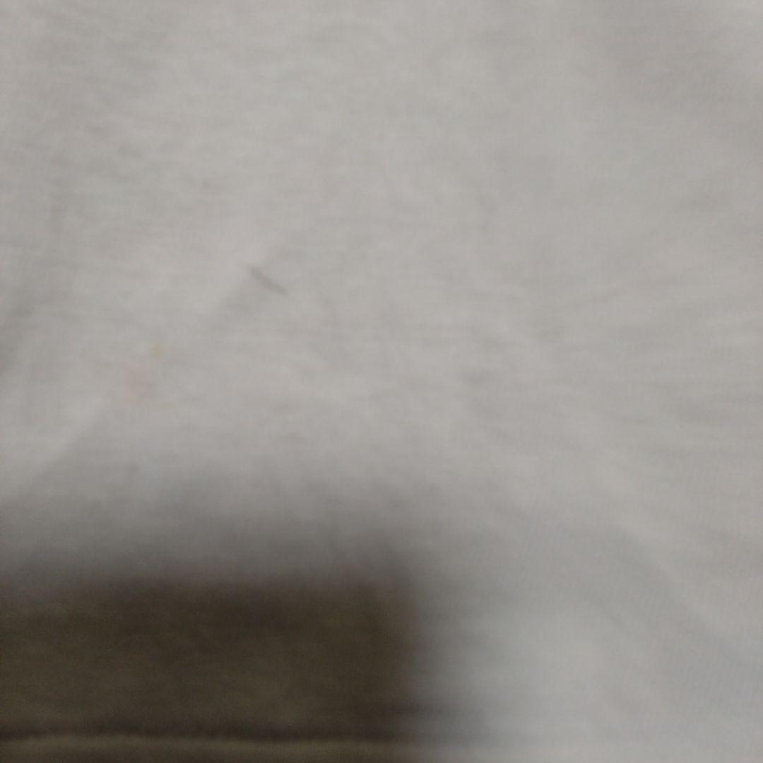 チャンピオン　トリコタグ　ビンテージ　ティシャツ