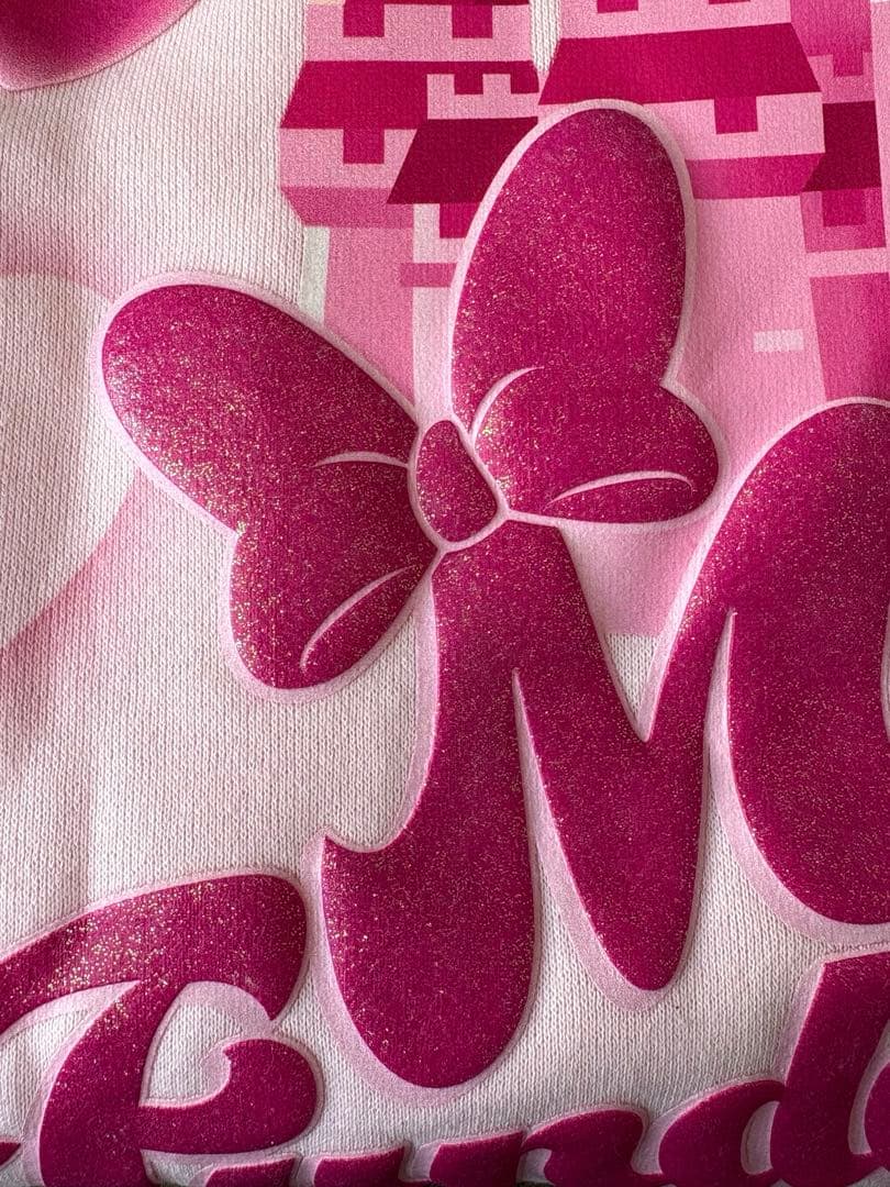 ディズニー　ミニーのファンダーランド　トレーナー　ミニパル　パルパルーザ