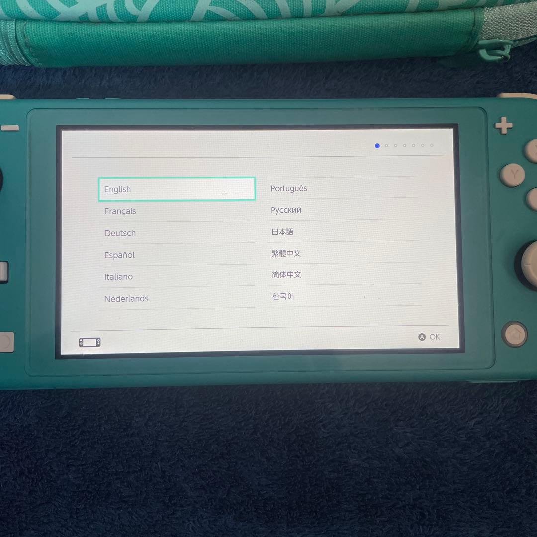 Switch light本体とケース